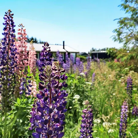 5 Person In Hjorring Vester Vidstrup