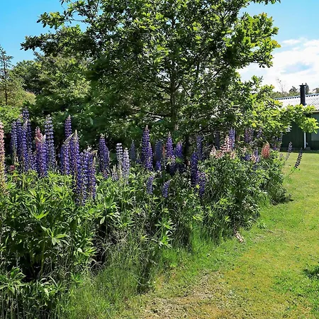 Ferienhaus 5 Person In Hjorring Vester Vidstrup